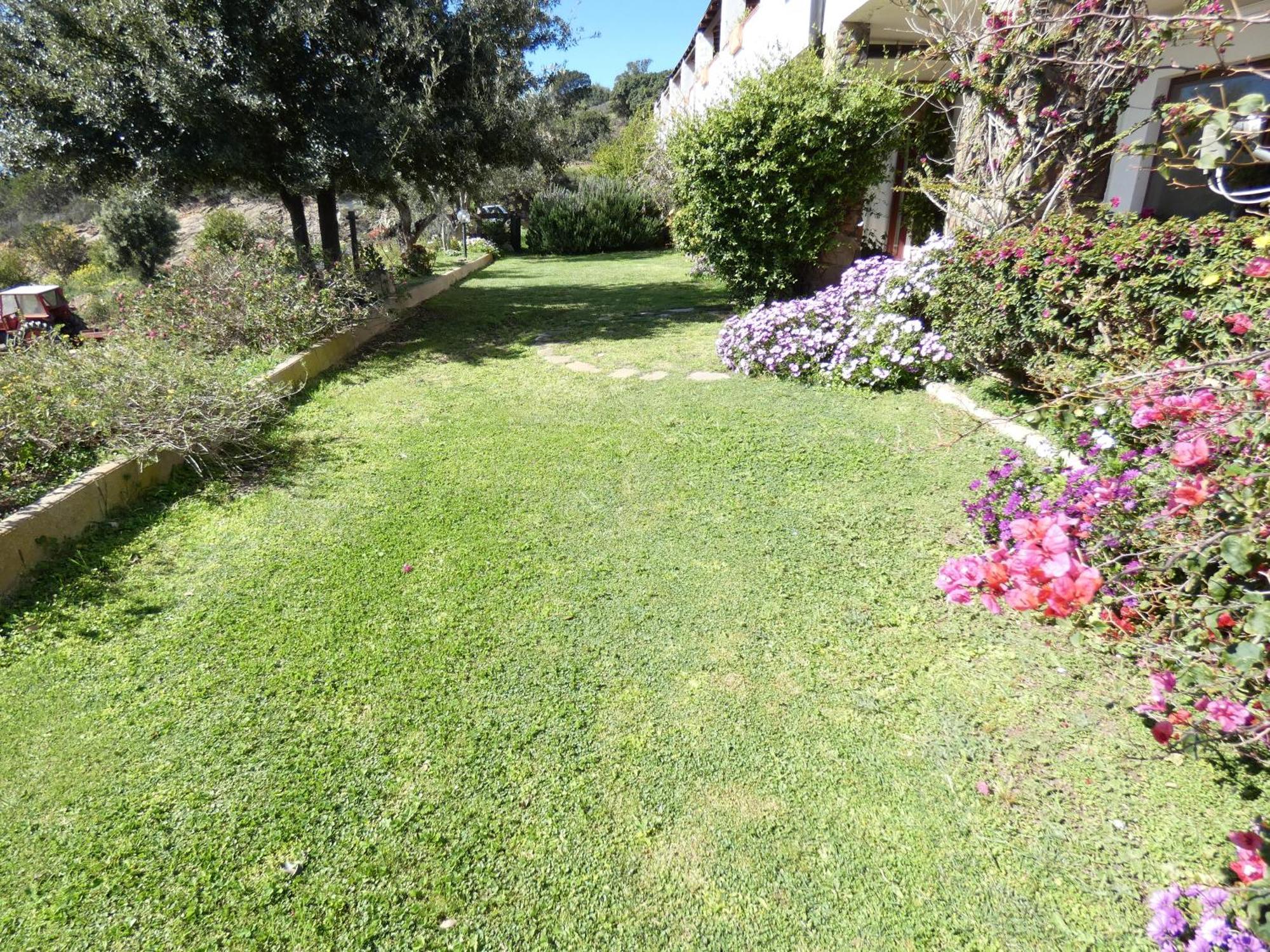 Comino Alto Agriturismo E Appartamenti Siniscola Exterior foto